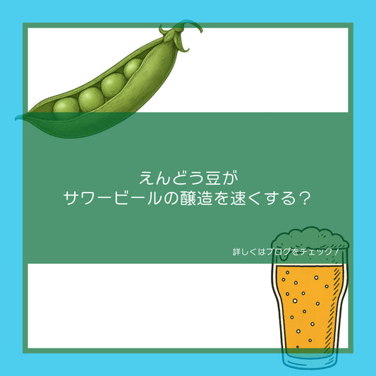 エンドウ豆がサワービールの醸造を速くする?